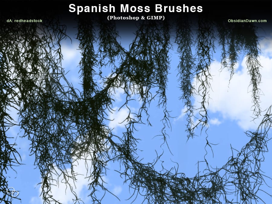 Spanish Moss Photoshop Brushes