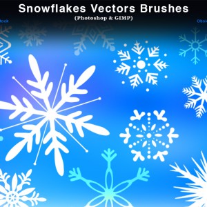 Snowflake Vectors Photoshop Brushes 