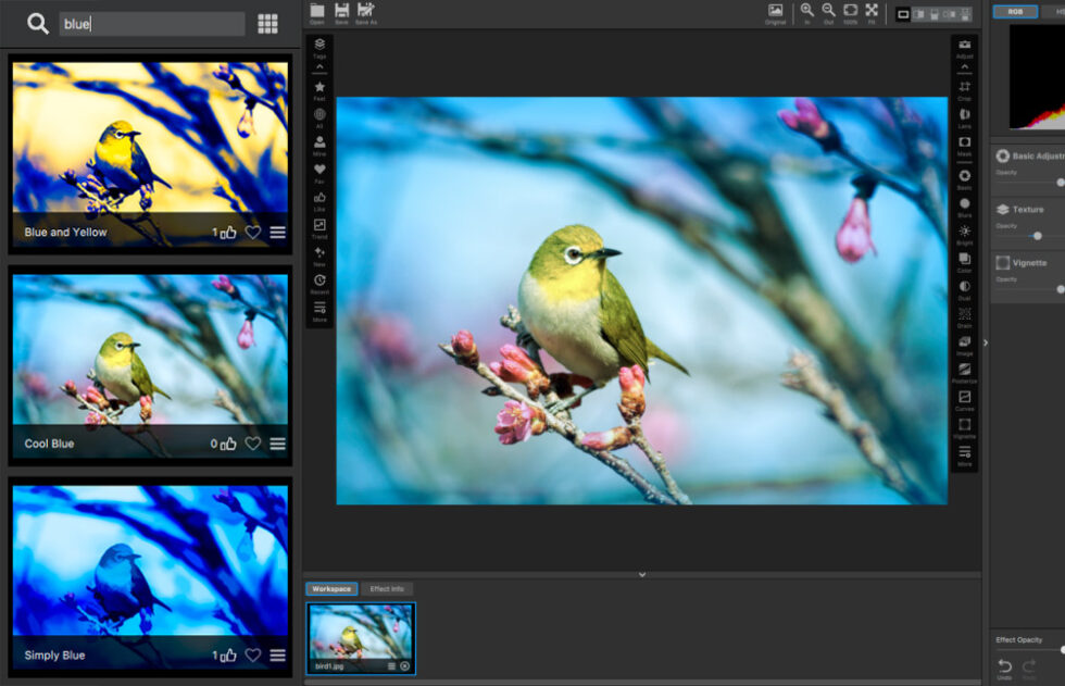 use topaz studio as a pluging with cs5